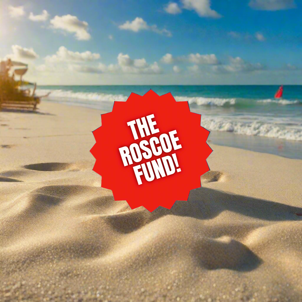 Rashi Brown, Vol. 1: The Fund