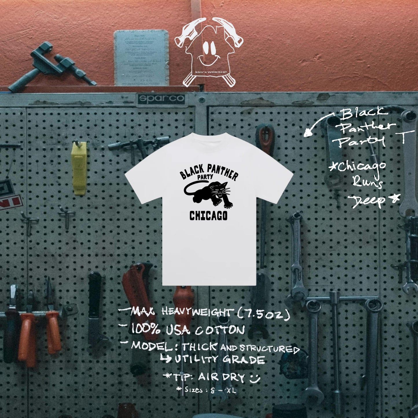 black panther party — chicago